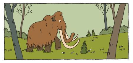 PO MAMUTOVIH STOPINJAH OD KAMNIKA DO NEVELJ